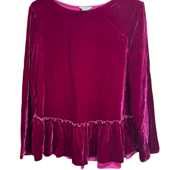 Sundance Tops - Sundance Velvet silk blend top